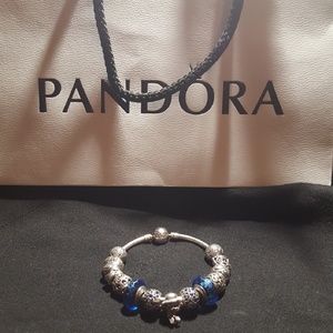 Pandora Charm Bracelet